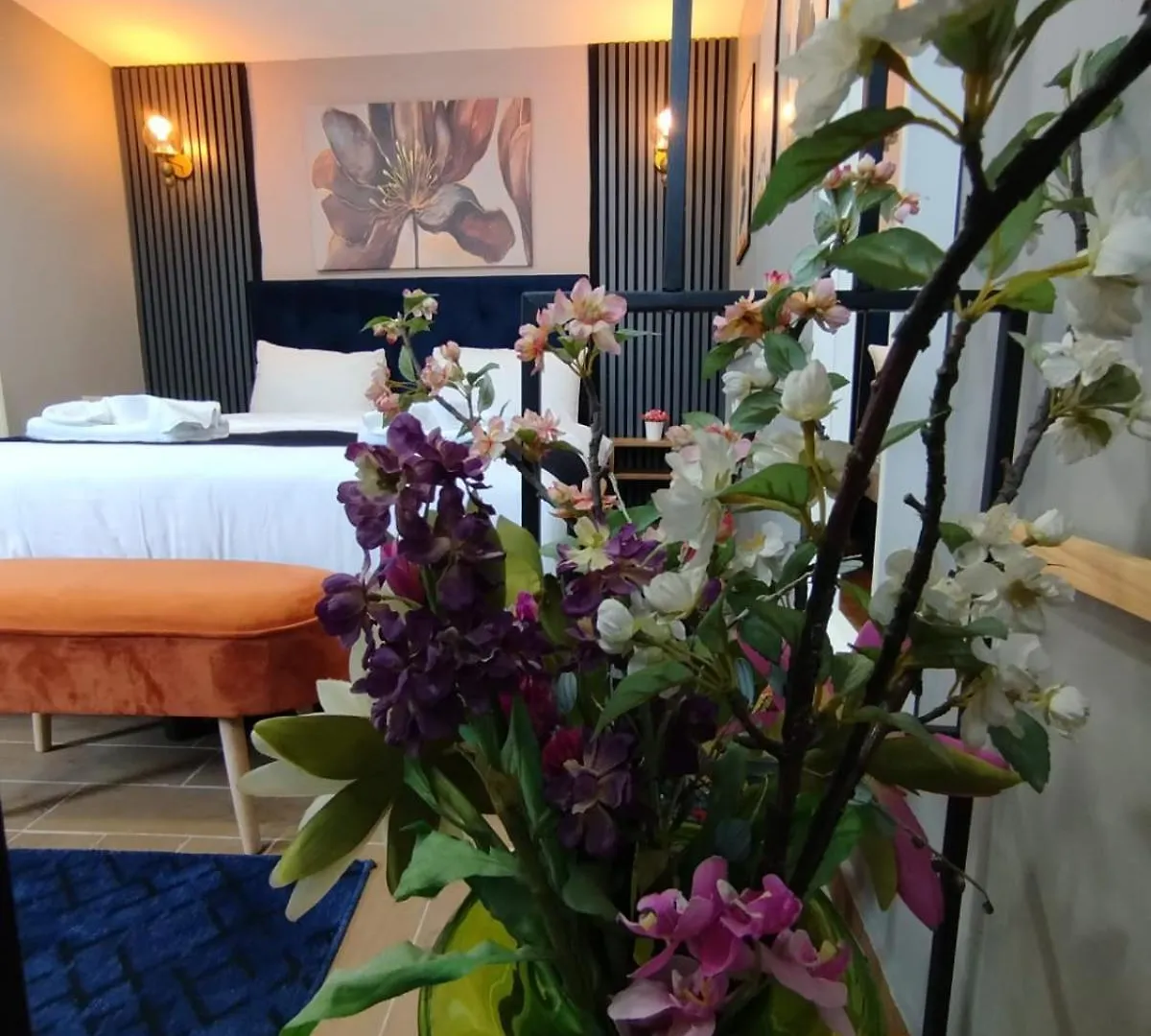 Emirhan Guesthouse & Suites Κωνσταντινούπολη 3*,  Τουρκία